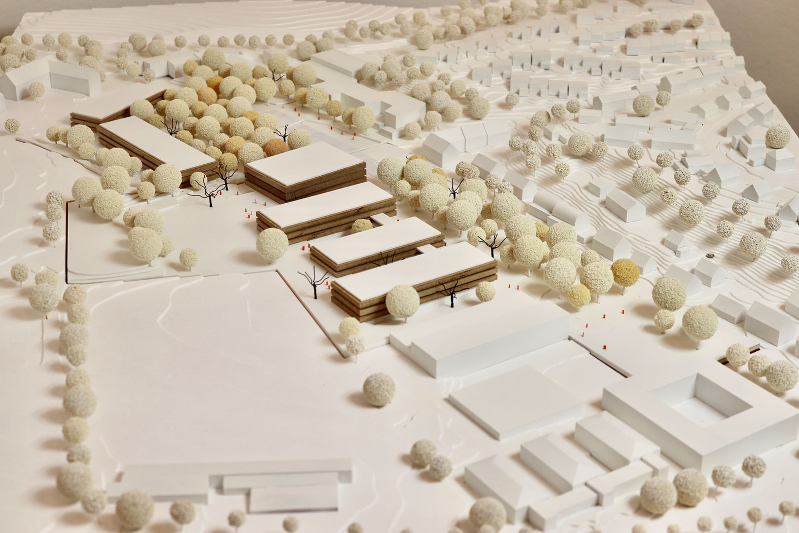 Staatliches Berufliches Schulzentrum, Freising