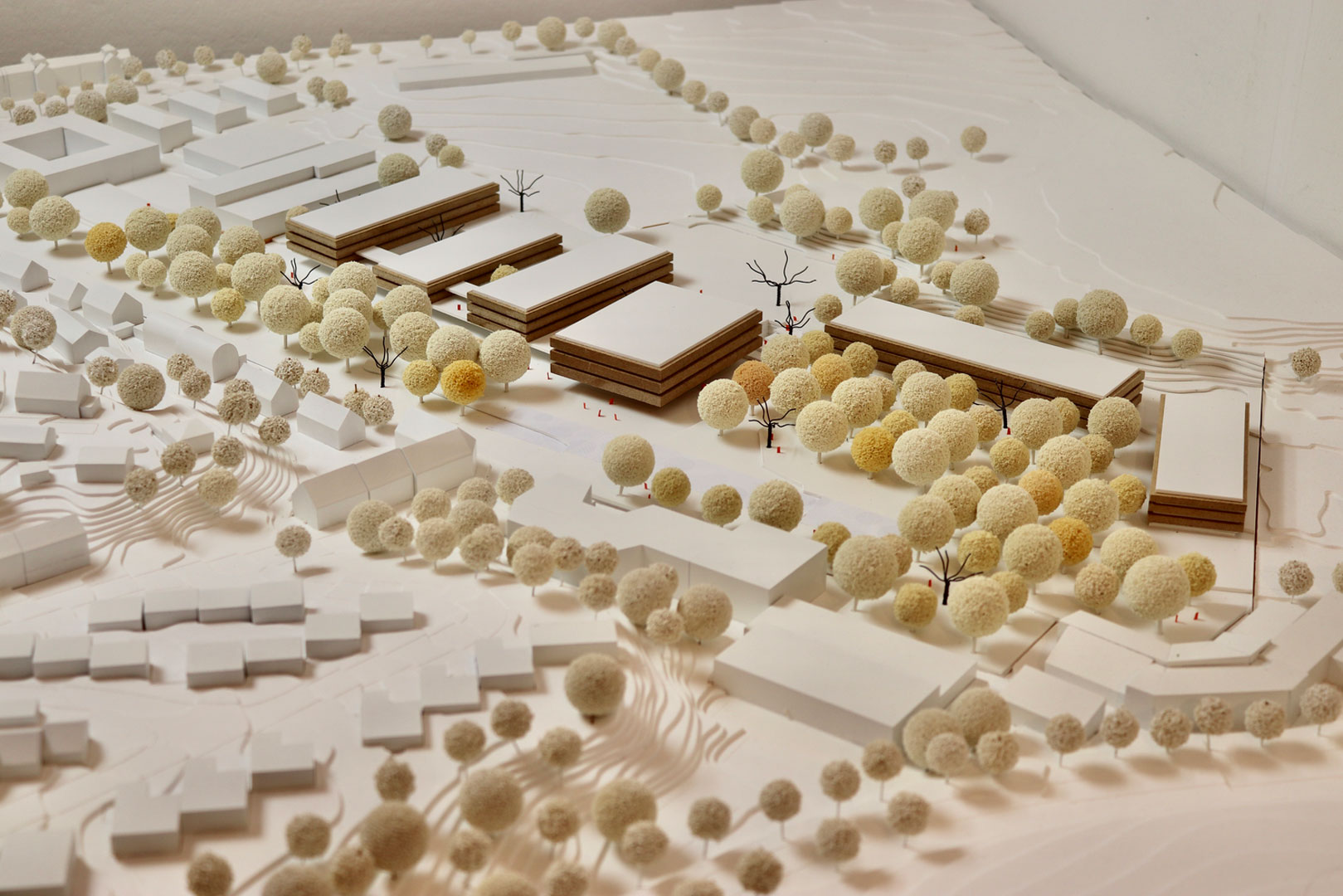 Staatliches Berufliches Schulzentrum, Freising