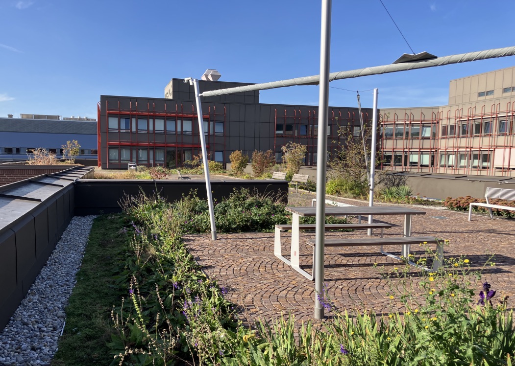 TÜV München Süd Sanierung Flachdächer